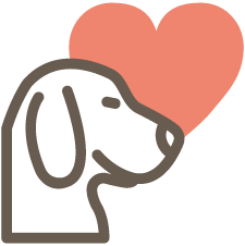 追加料金は一切かかりません