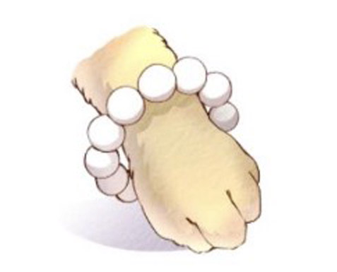 ペット専用の数珠